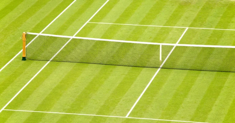 Tennis Court Surfaces