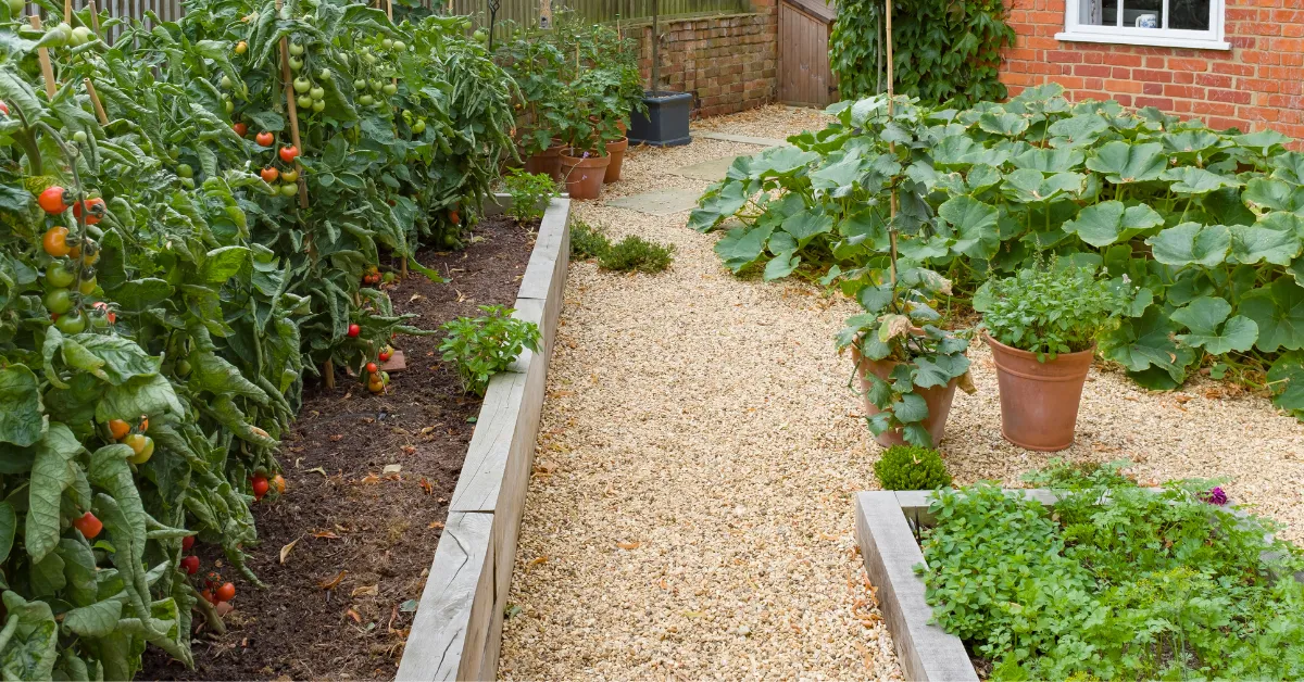 Planter Kitchen Garden